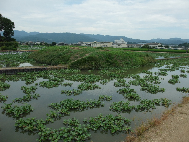 丑男の援團生涯 －云々かんぬん－ 第 二 章:「 三山に囲まれて 」 晩夏の大和路 3