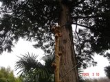 DSC00088