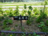 P5312322