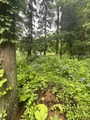 2026-07-04_06-44-06_689
