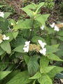 2020-05-23_09-55-04_243