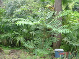 20716c7d.JPG
