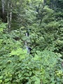 2024-08-04_07-22-53_729