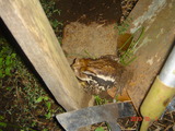 DSC00262