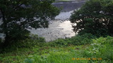 IMGP2496