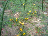 DSC00170