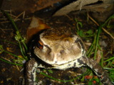 DSC00268