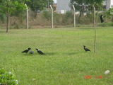 572b7330.JPG