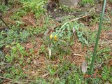 DSC00091