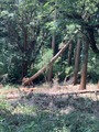 2024-06-02_10-58-01_101