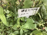 2024-06-02_09-02-36_259