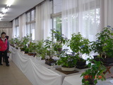 DSC00111