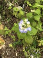 2020-05-23_09-55-27_026