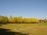 park
