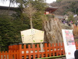 DSC00068