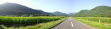 08pano