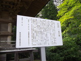 IMGP3090