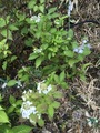 2020-05-23_09-54-58_939