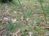 DSC00172