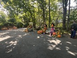 2026-09-12_10-16-10_599