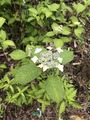 2020-05-23_09-56-42_114