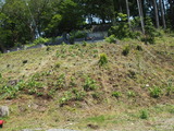 P5312346