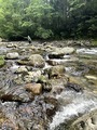 2024-08-04_09-51-01_355