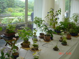 DSC00116