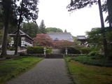 IMGP3086