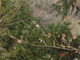 DSC00094