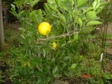 92c76345.JPG