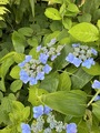 2026-07-04_09-37-25_088