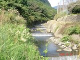 DSC00017