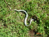 DSC00002