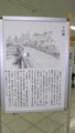 IMGP4035