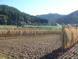DSC00260