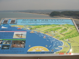 魚5