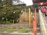 DSC00066