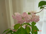 DSC00122