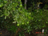 DSC00297