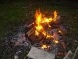 DSC00302