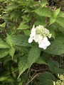 2020-05-23_09-54-45_029