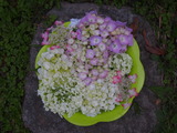 P6073322