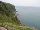 魚4