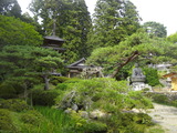 IMGP3088