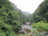 IMG_0568