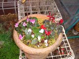 DSC00095