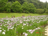 DSC00098