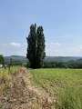 2025-06-20_09-49-09_141