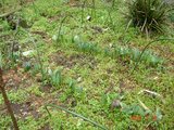 DSC00090